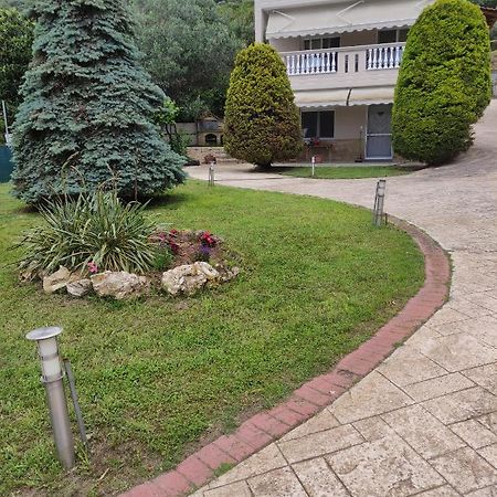 PalaiónTsiflíkion Garden Houseヴィラ エクステリア 写真