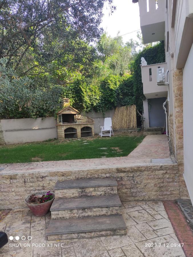 PalaiónTsiflíkion Garden Houseヴィラ エクステリア 写真