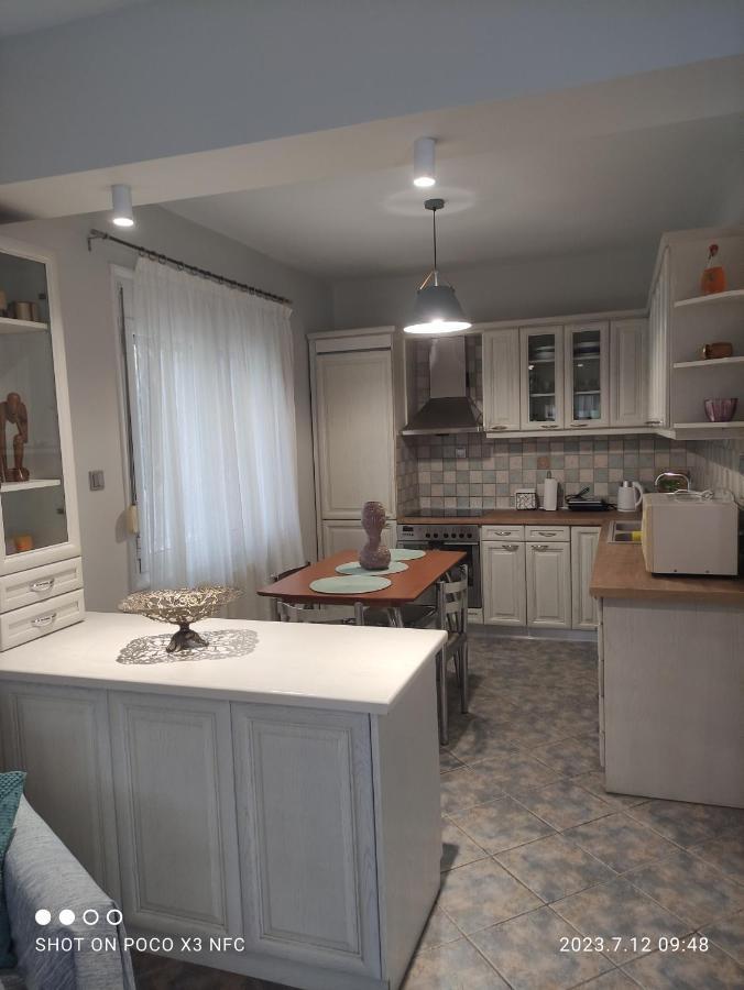 PalaiónTsiflíkion Garden Houseヴィラ エクステリア 写真