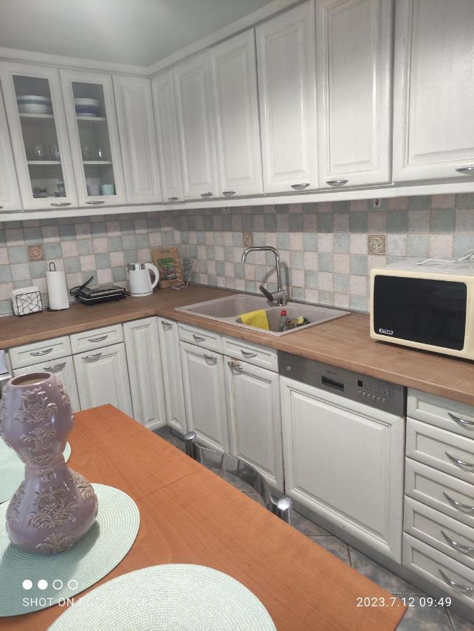 PalaiónTsiflíkion Garden Houseヴィラ エクステリア 写真